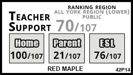 Red Maple school Richmond Hill Red Maple school Richmond Hill